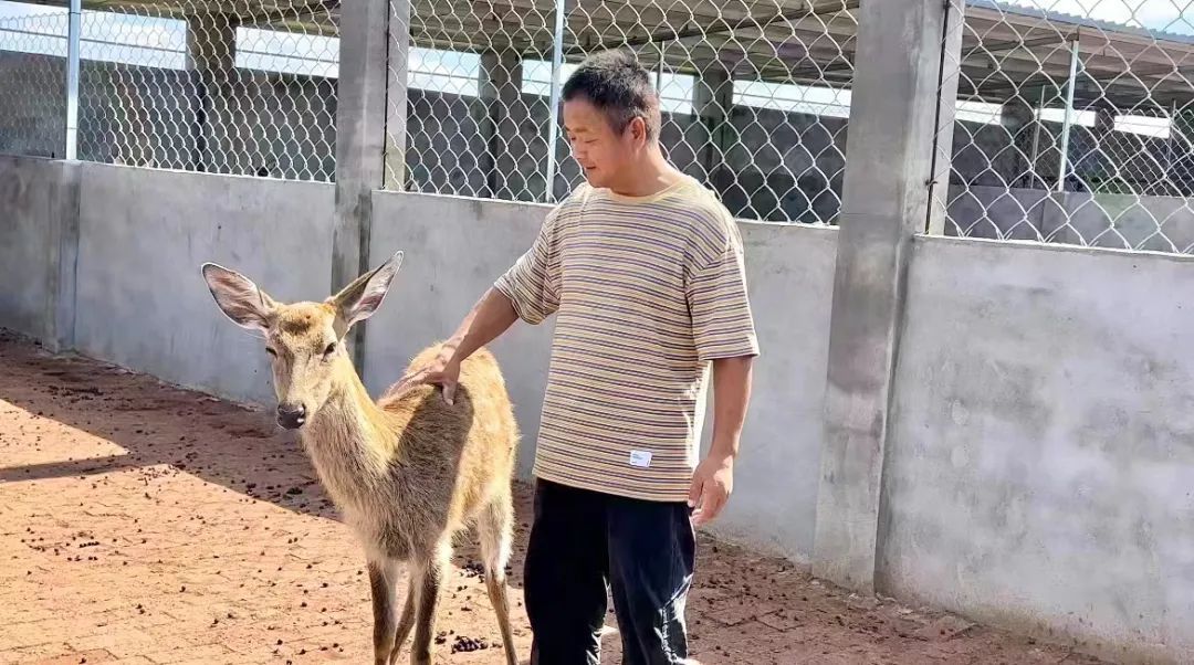 皇冠428428娱乐娱城